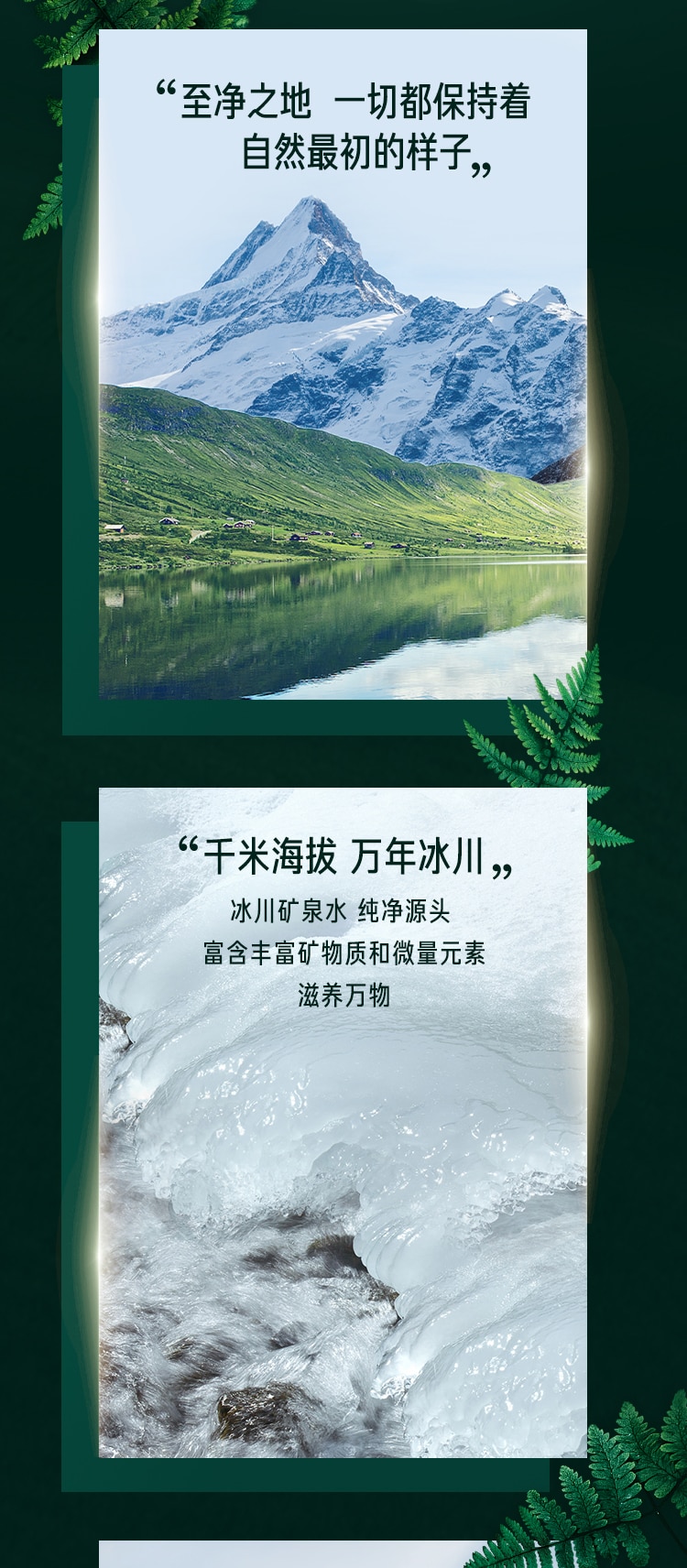 雀巢®卓淳能恩®3