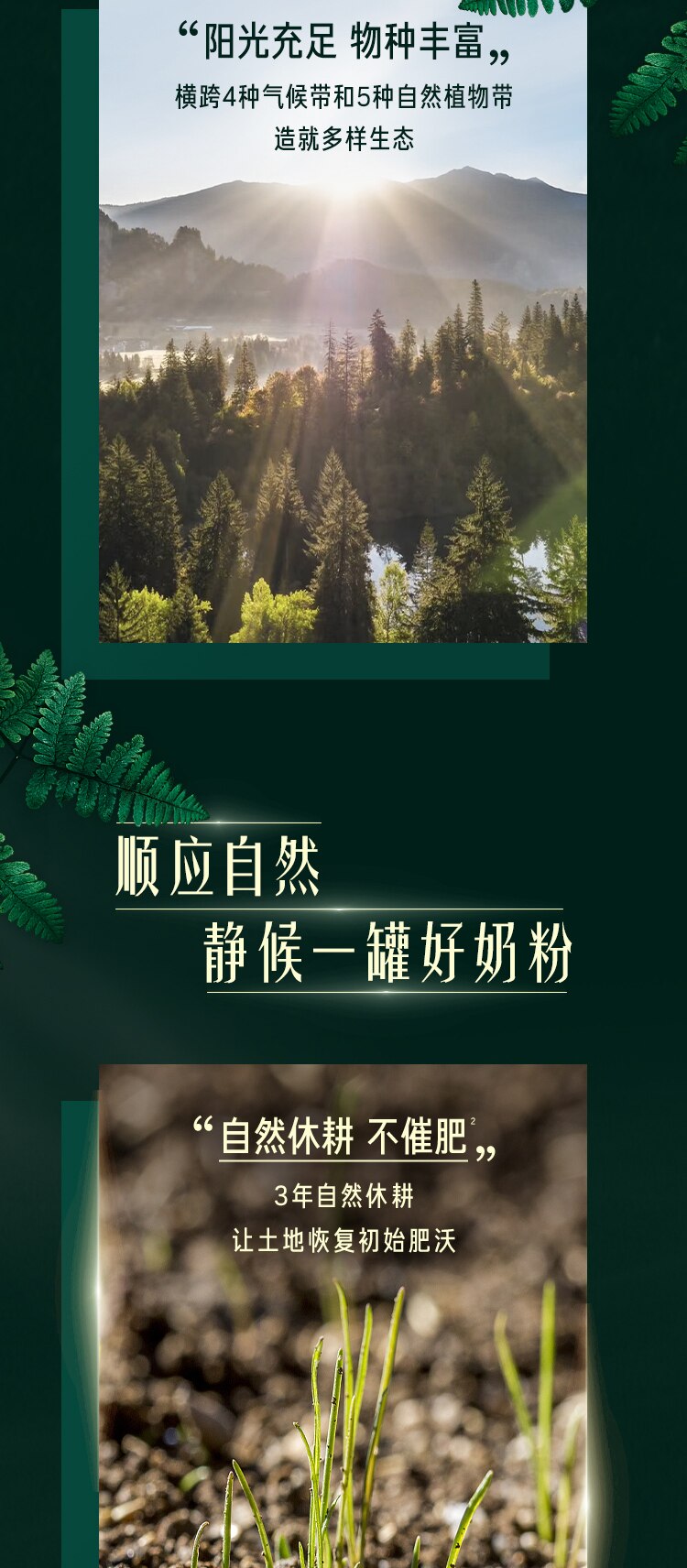 雀巢®卓淳能恩®3