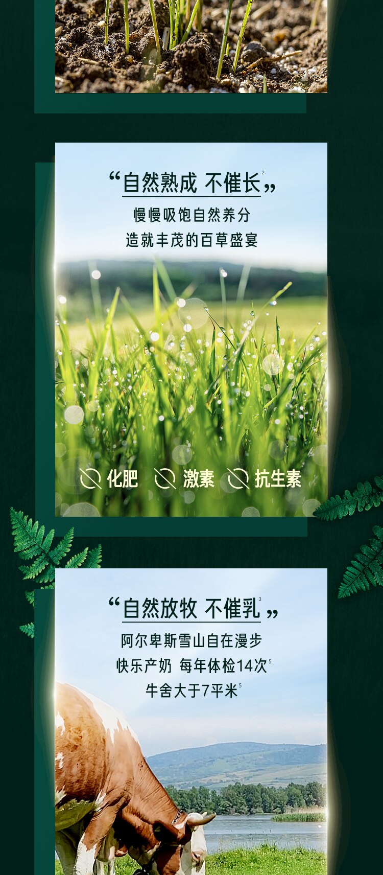 雀巢®卓淳能恩®3