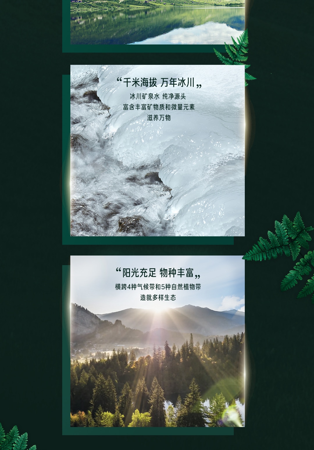 雀巢®卓淳能恩®3