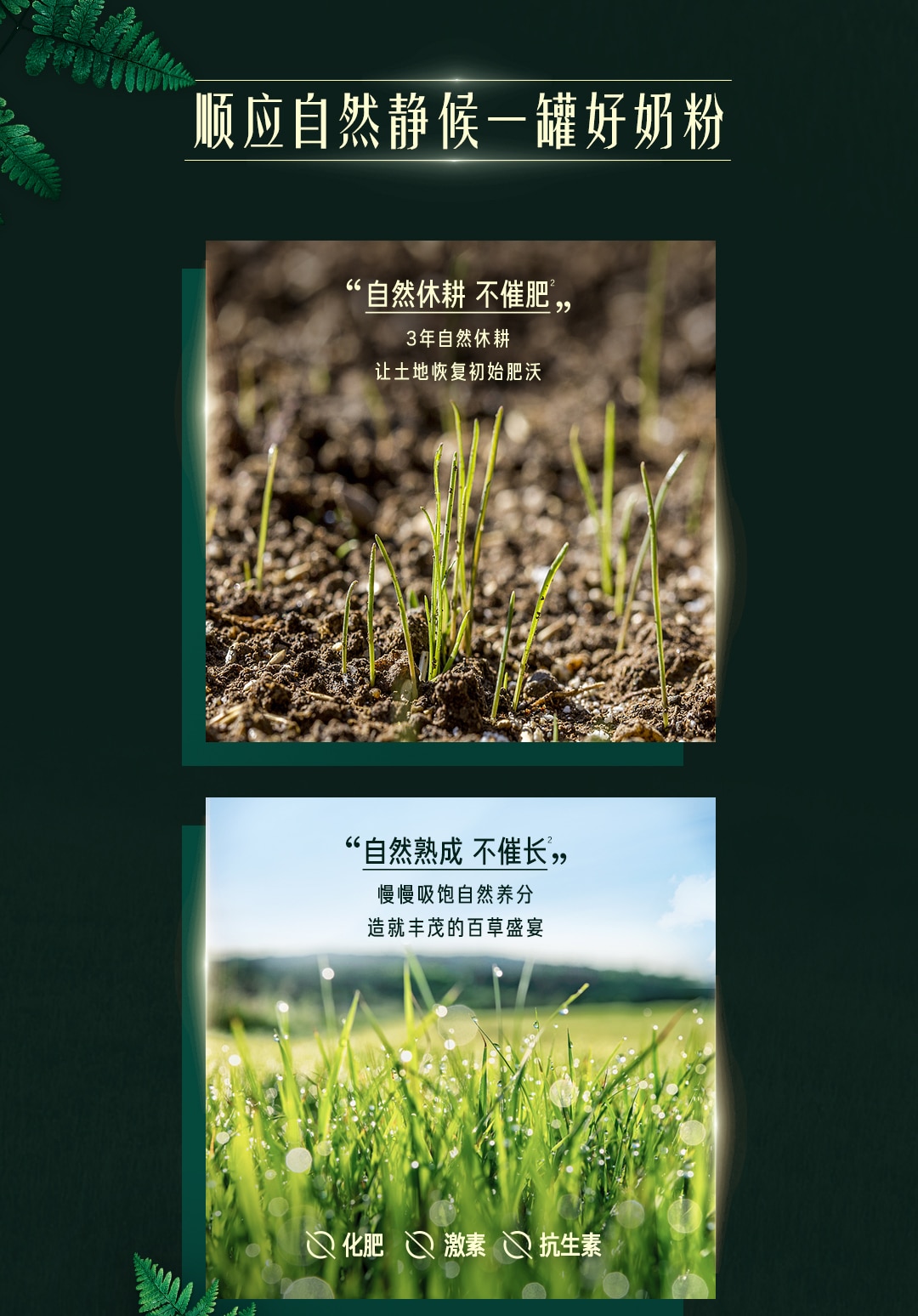 雀巢®卓淳能恩®3
