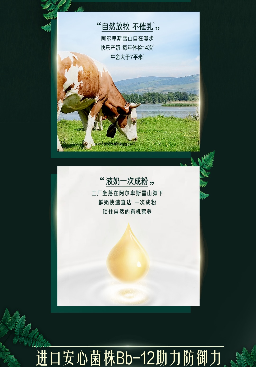 雀巢®卓淳能恩®3